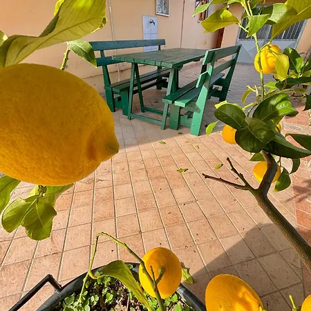 Holiday home Peace & Relax