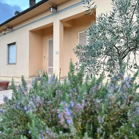 Peace & Relax Tatil Evi Lazzeretto