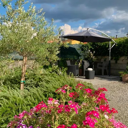 Peace & Relax Tatil Evi